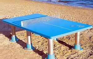 Vous êtes intéressés par le tennis de table ? Venez tester cet été !!
